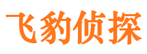 龙里市侦探公司